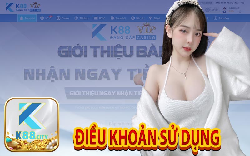 Điều Khoản Sử Dụng